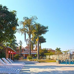 Royal Palm Resort